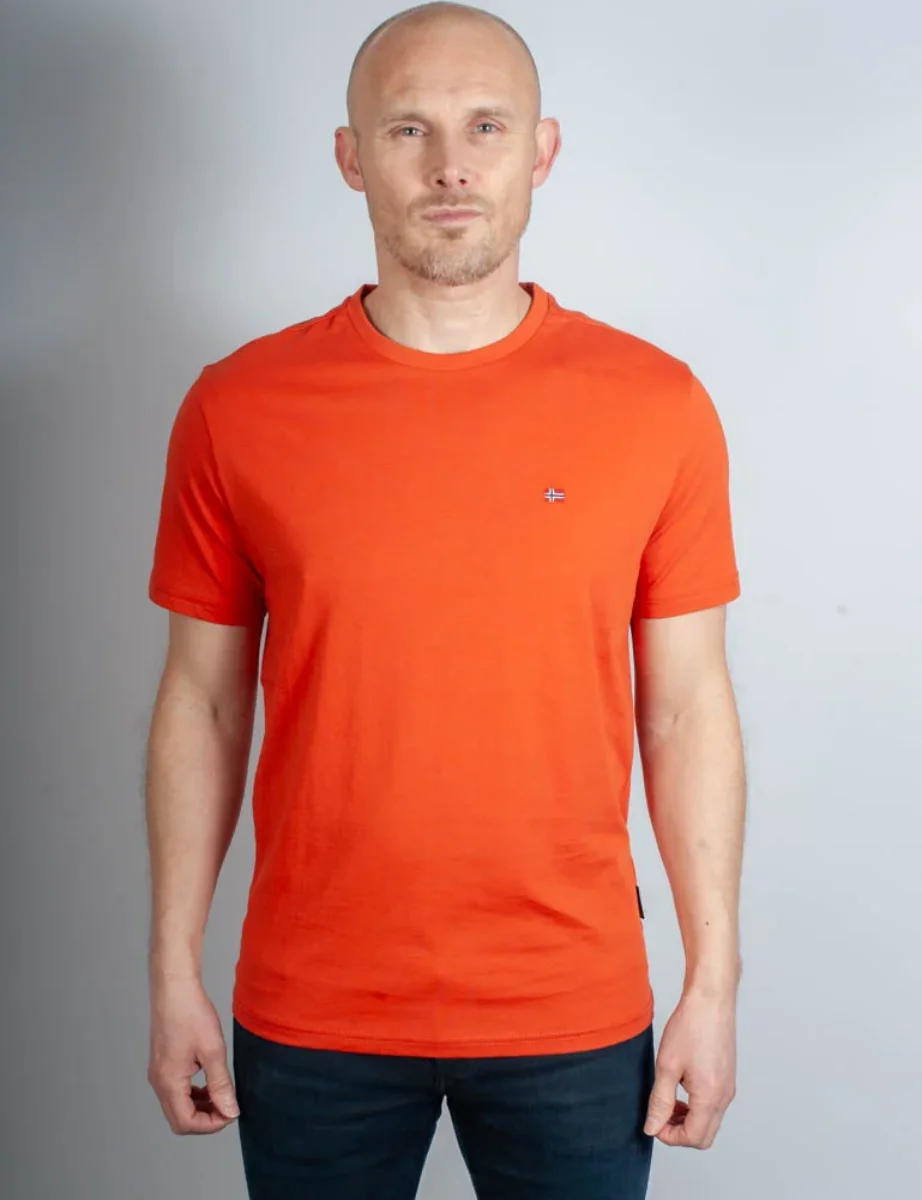 Napapijri Salis Crew Neck T-Shirt | Orange Burnt