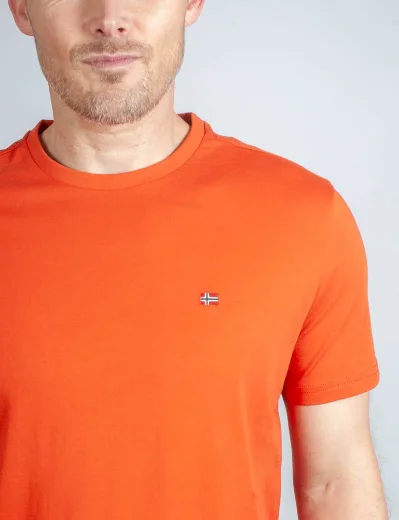 Napapijri Salis Crew Neck T-Shirt | Orange Burnt