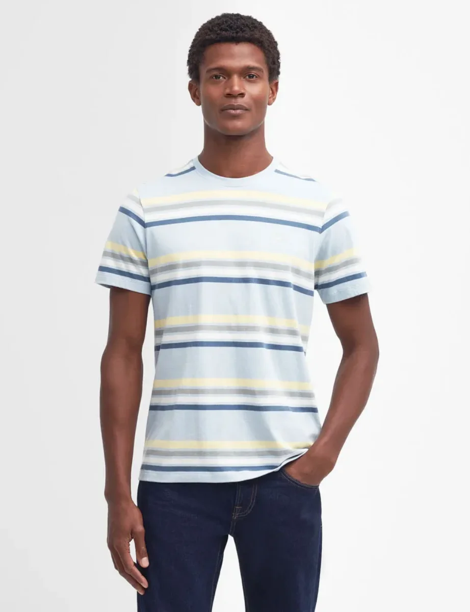 Barbour Hamstead Striped T-Shirt | Niagara Mist