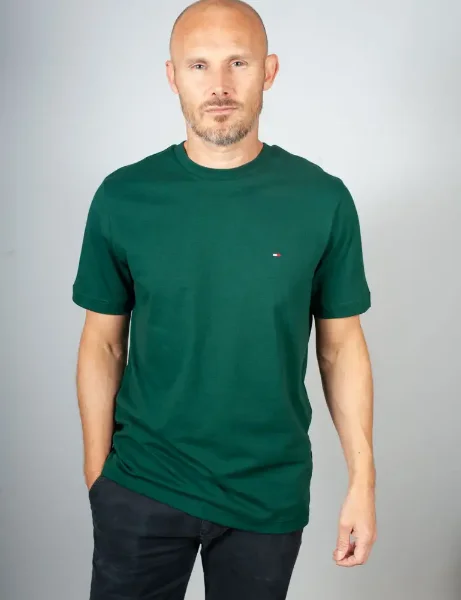 Tommy Hilfiger Essential Seasonal Regular Fit T-Shirt | Ornamental Green Tommy Hilfiger Essential Seasonal Regular Fit T-Shirt | Ornamental Green