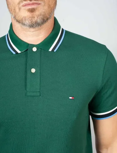 Picture of Tommy Hilfiger Slim Fit Tipped Polo Shirt | Ornamental Green
