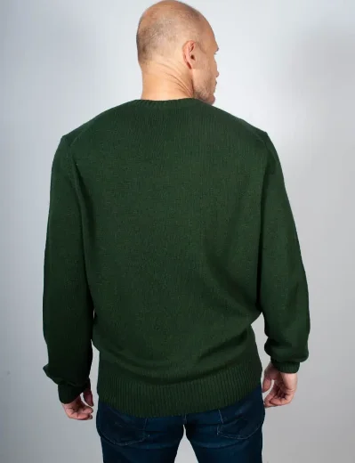 Lacoste Crew Neck Wool Jumper | Sinople Green