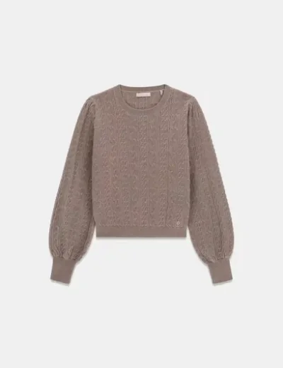 Guess Joanna Crew Neck Sweater | Brown